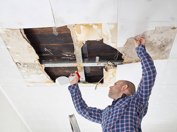 Best Real Estate Mold Inspection  in Fairview, NY